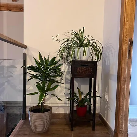 Casa Gela. Entorno Rural Casa de Férias *